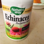 Nature's Way Echinacea